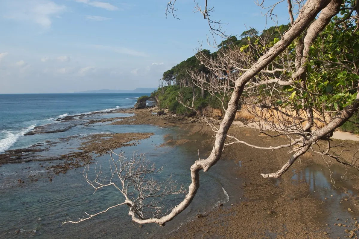 Andaman – natural coral bridge with rock arch on Neil Island