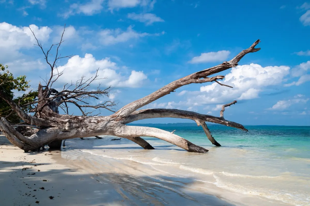 Andaman – sandy lagoon on Havelock Island
