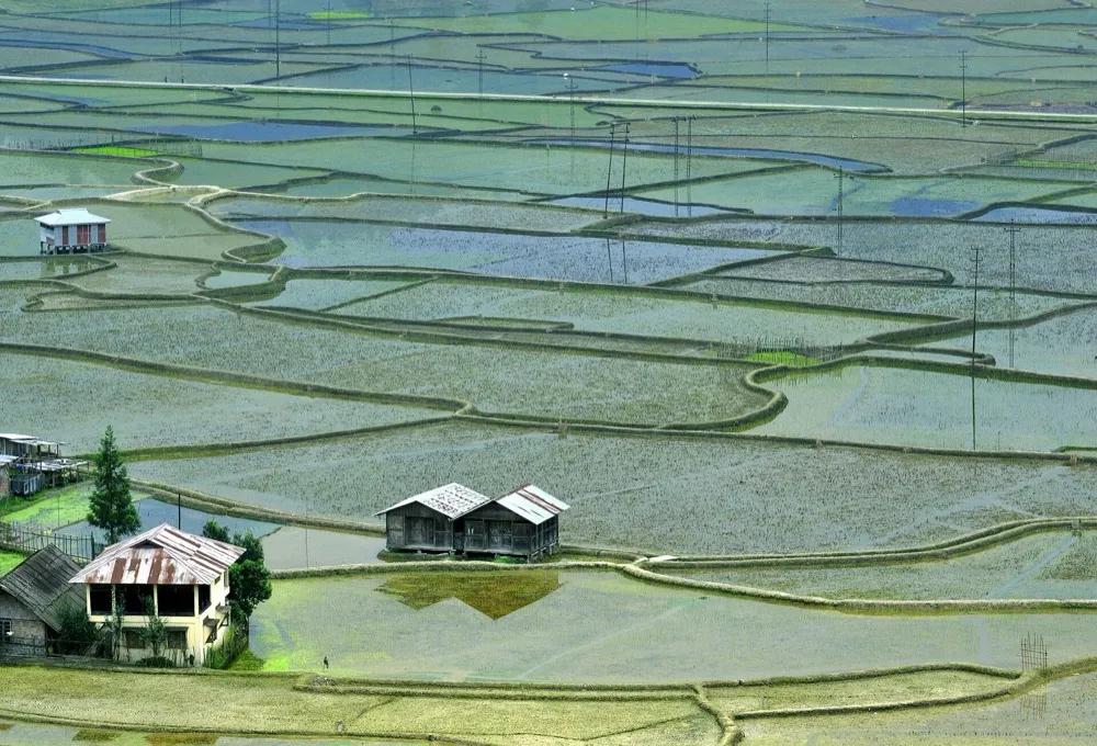 Apatani terraced rice paddies in Ziro Valley