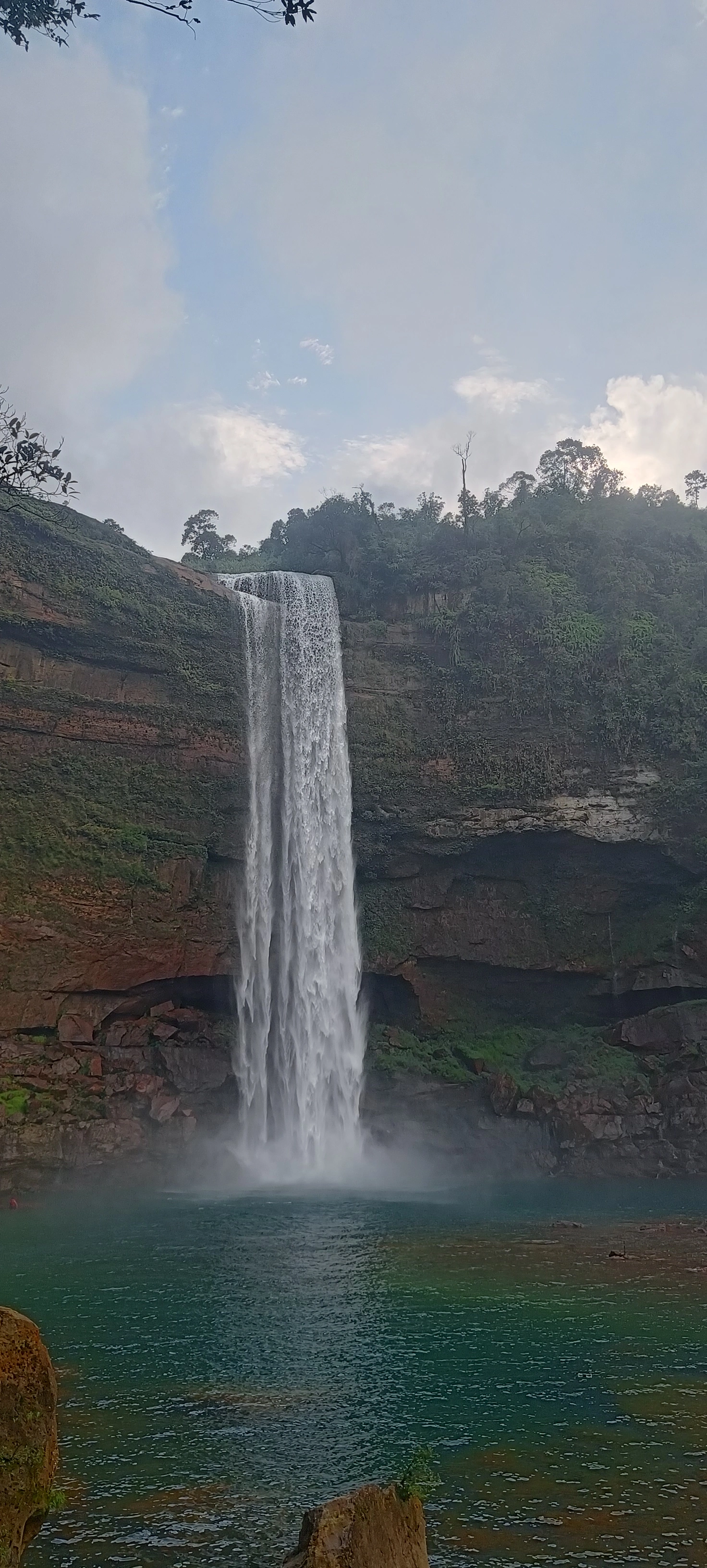 Meghalaya – sacred groves