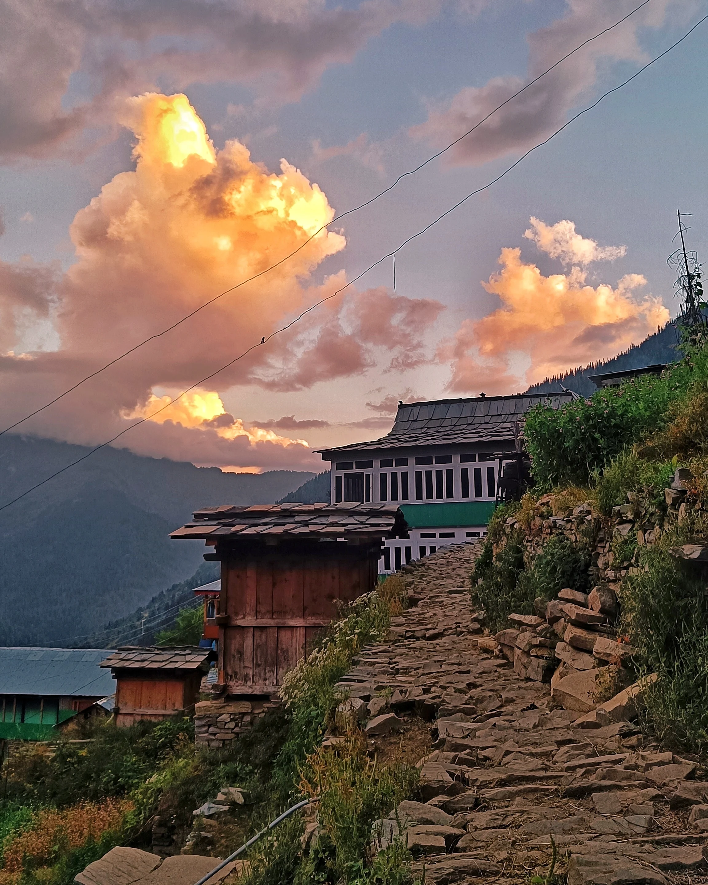 Orchard walks and valley views near Sarahan
