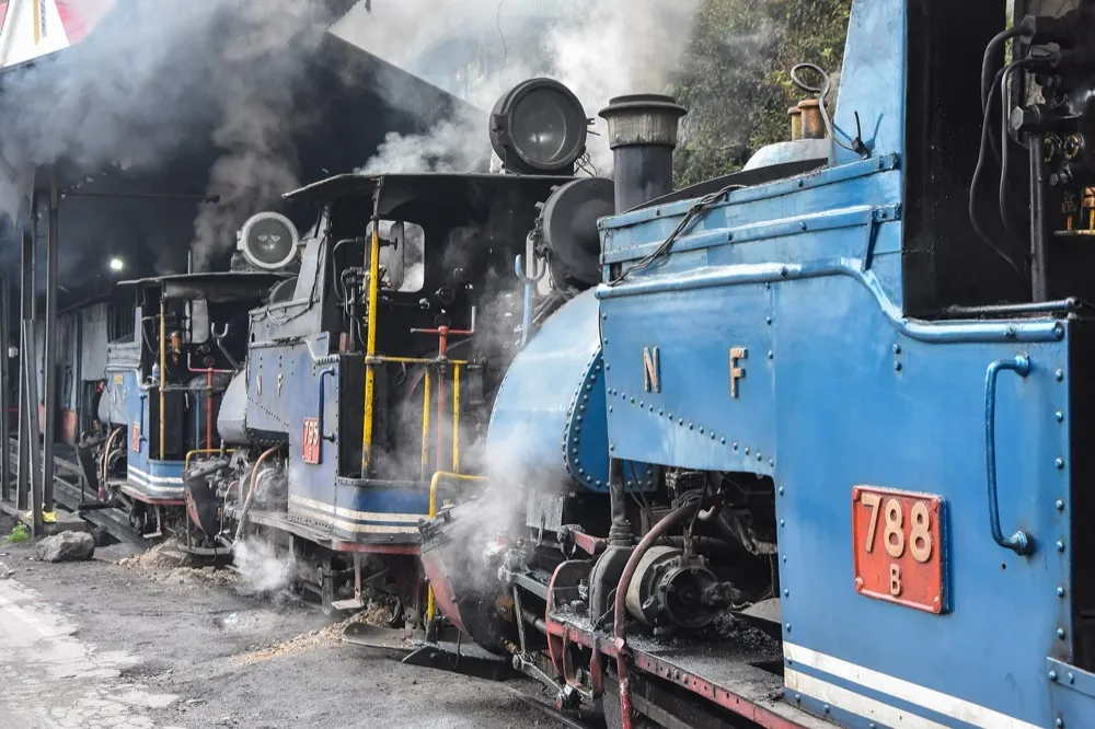 Darjeeling Himalayan Railway steam toy train, West Bengal